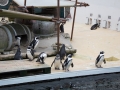 Pinguine auf dem Schiff