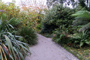 The Lost Gardens of Heligan - Auf dem Weg durch den Garten